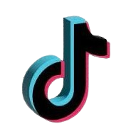 TikTok Icon